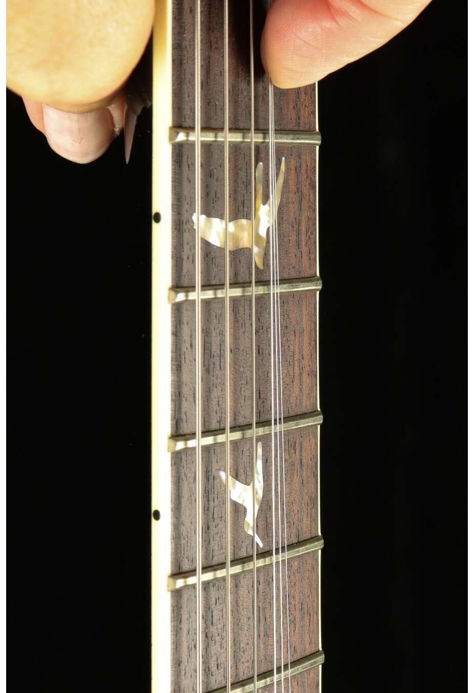 PRS Guitars PRS McCarty 594 - Eriza Verde Black Wrap Burst
