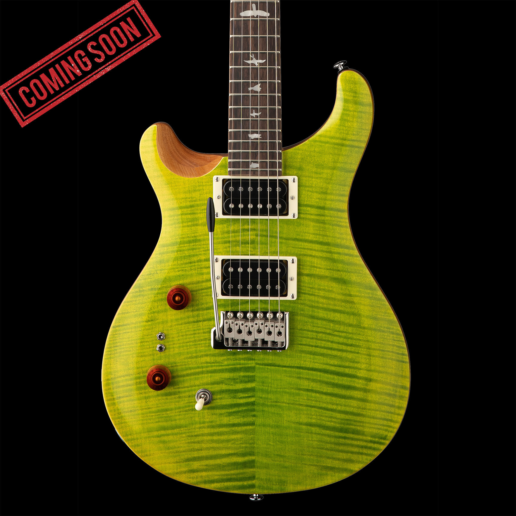 PRS SE Custom 24-08 