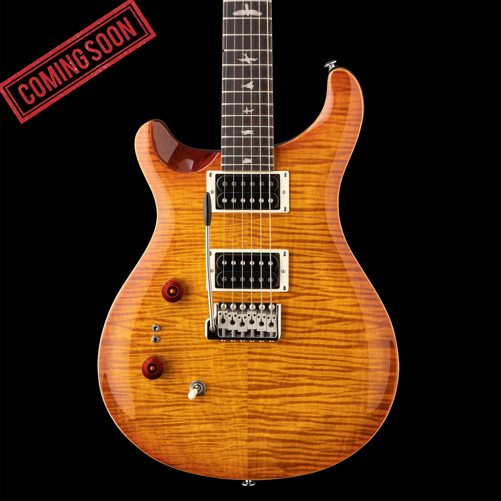 PRS SE Custom 24-08 