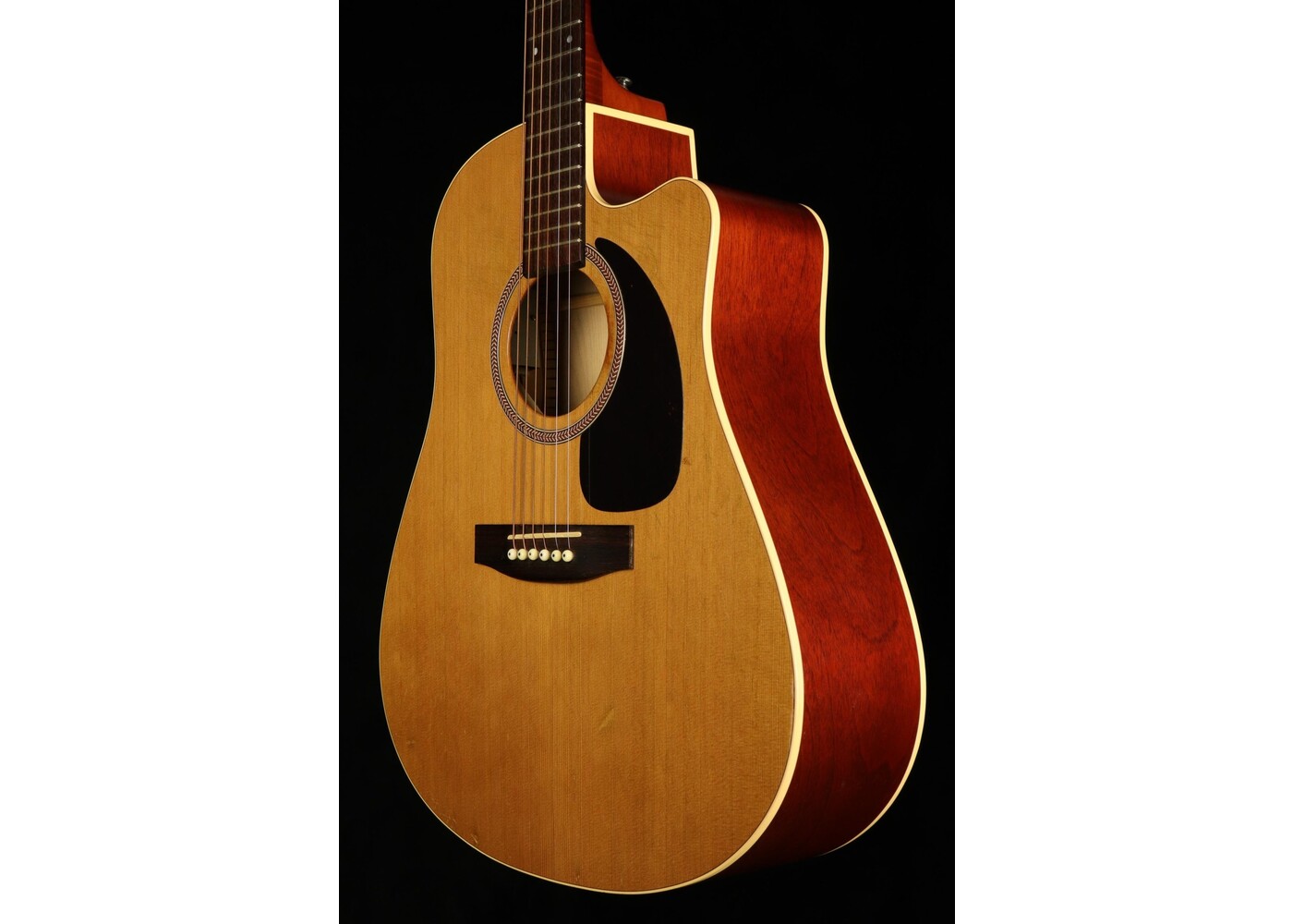 Seagull Seagull Performer CW GT QI - Cedar Gloss