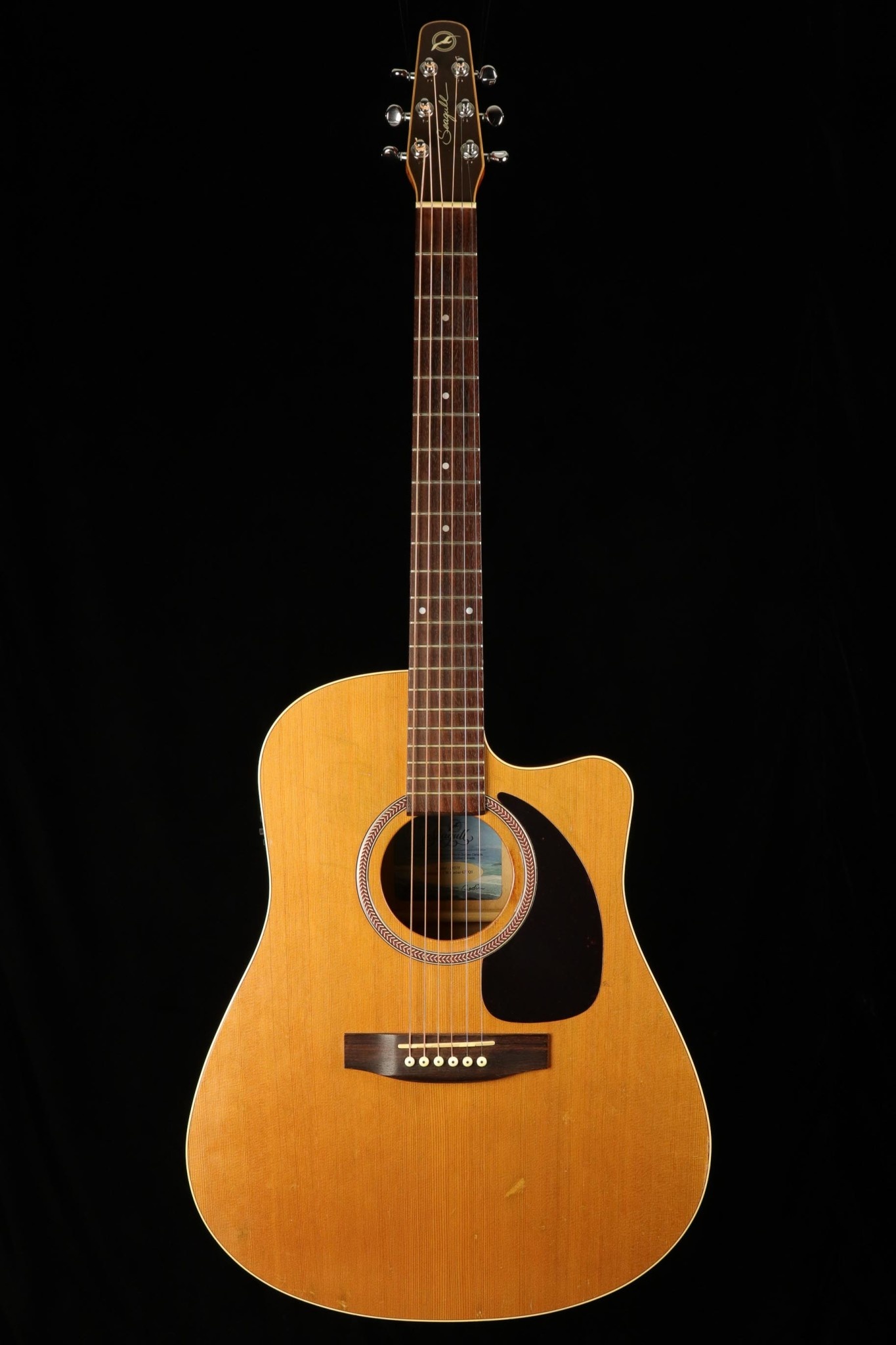 Seagull Seagull Performer CW GT QI - Cedar Gloss