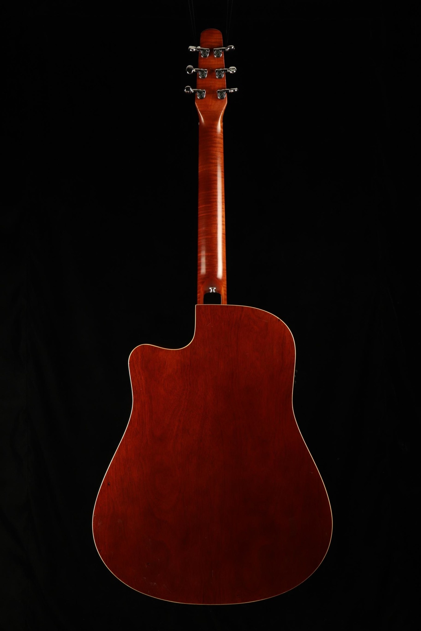 Seagull Seagull Performer CW GT QI - Cedar Gloss