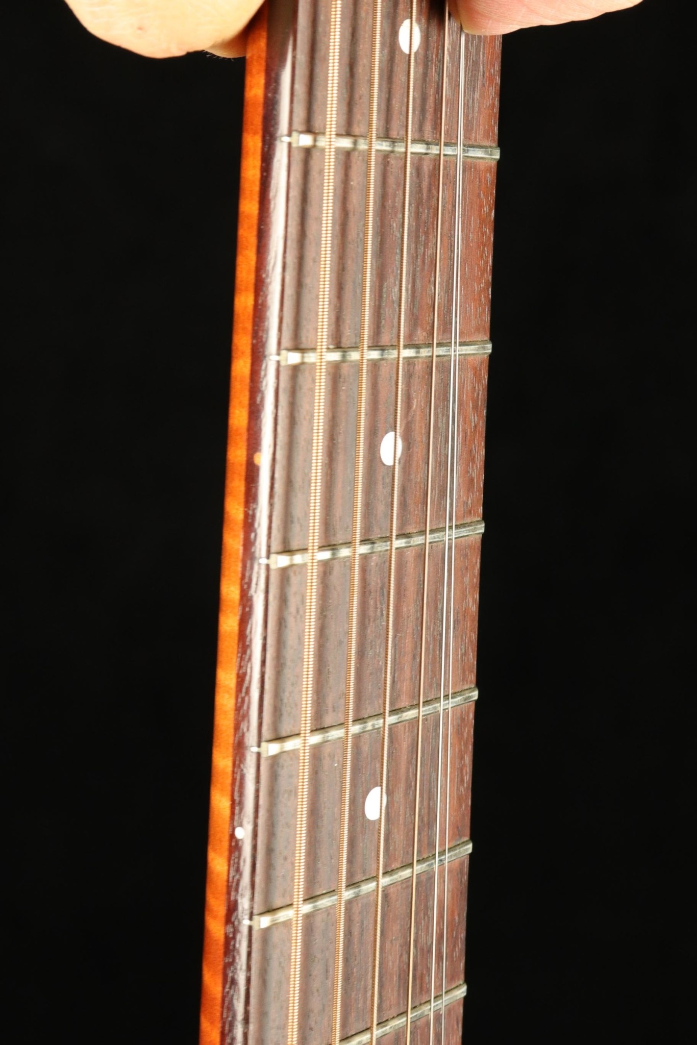 Seagull Seagull Performer CW GT QI - Cedar Gloss