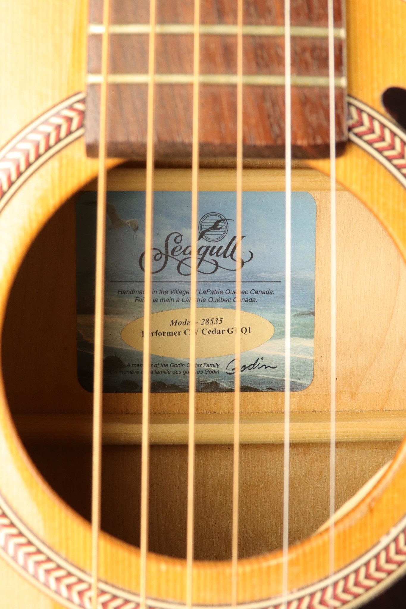 Seagull Seagull Performer CW GT QI Acoustic Guitar - Cedar Gloss