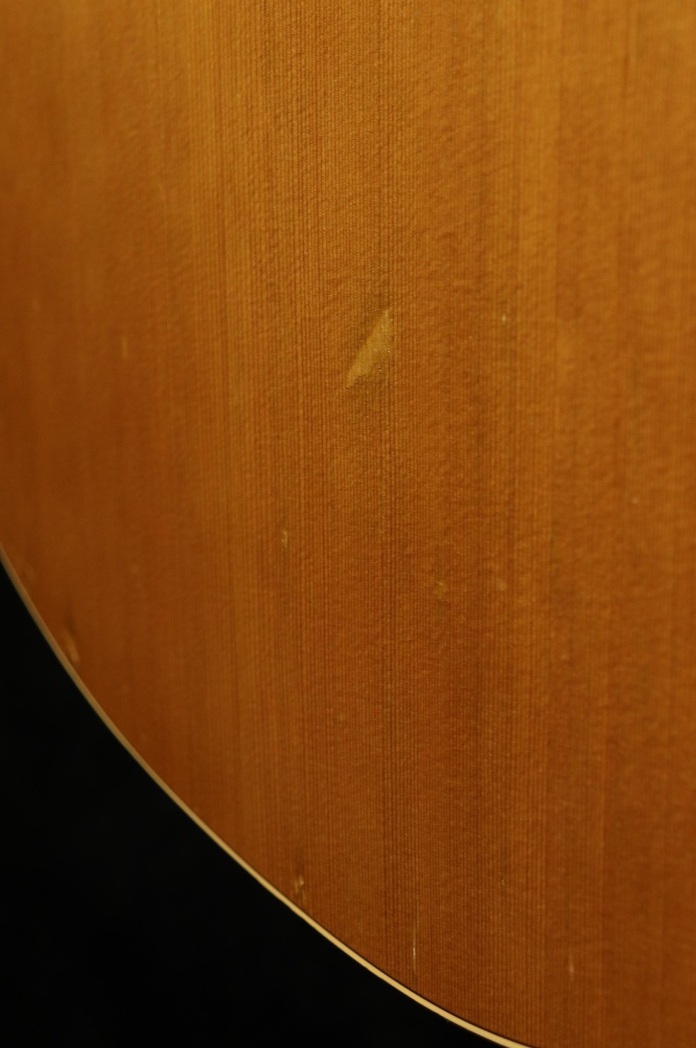 Seagull Seagull Performer CW GT QI - Cedar Gloss