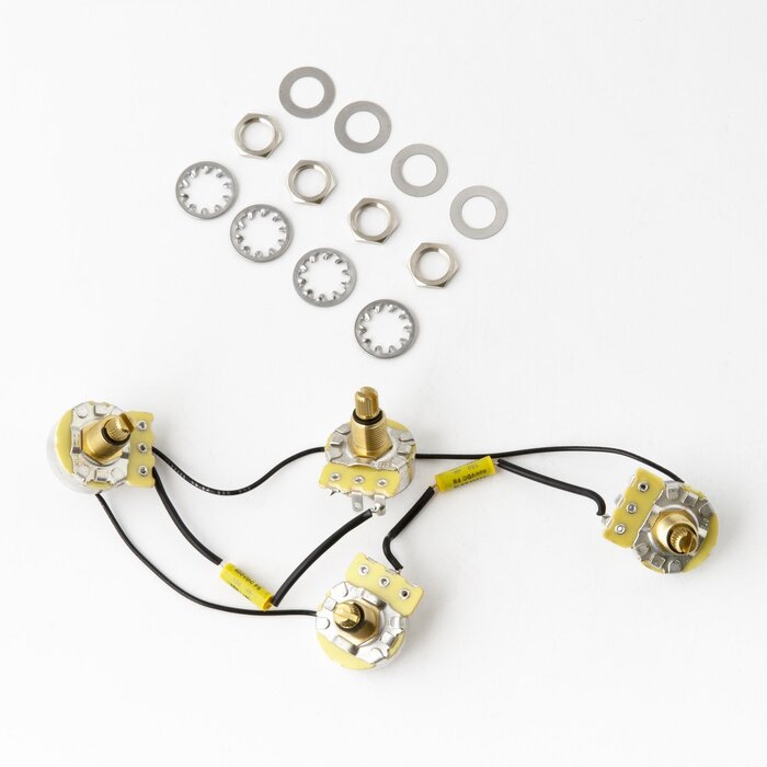 PRS Guitars PRS Tremonti Drop In - 2 Volume & 2 Tone