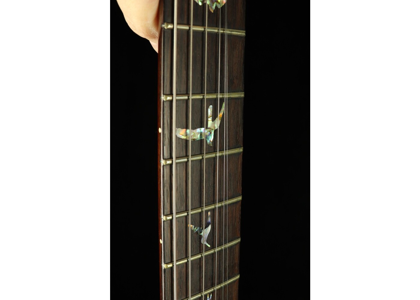 Prs 2024 inlay stickers