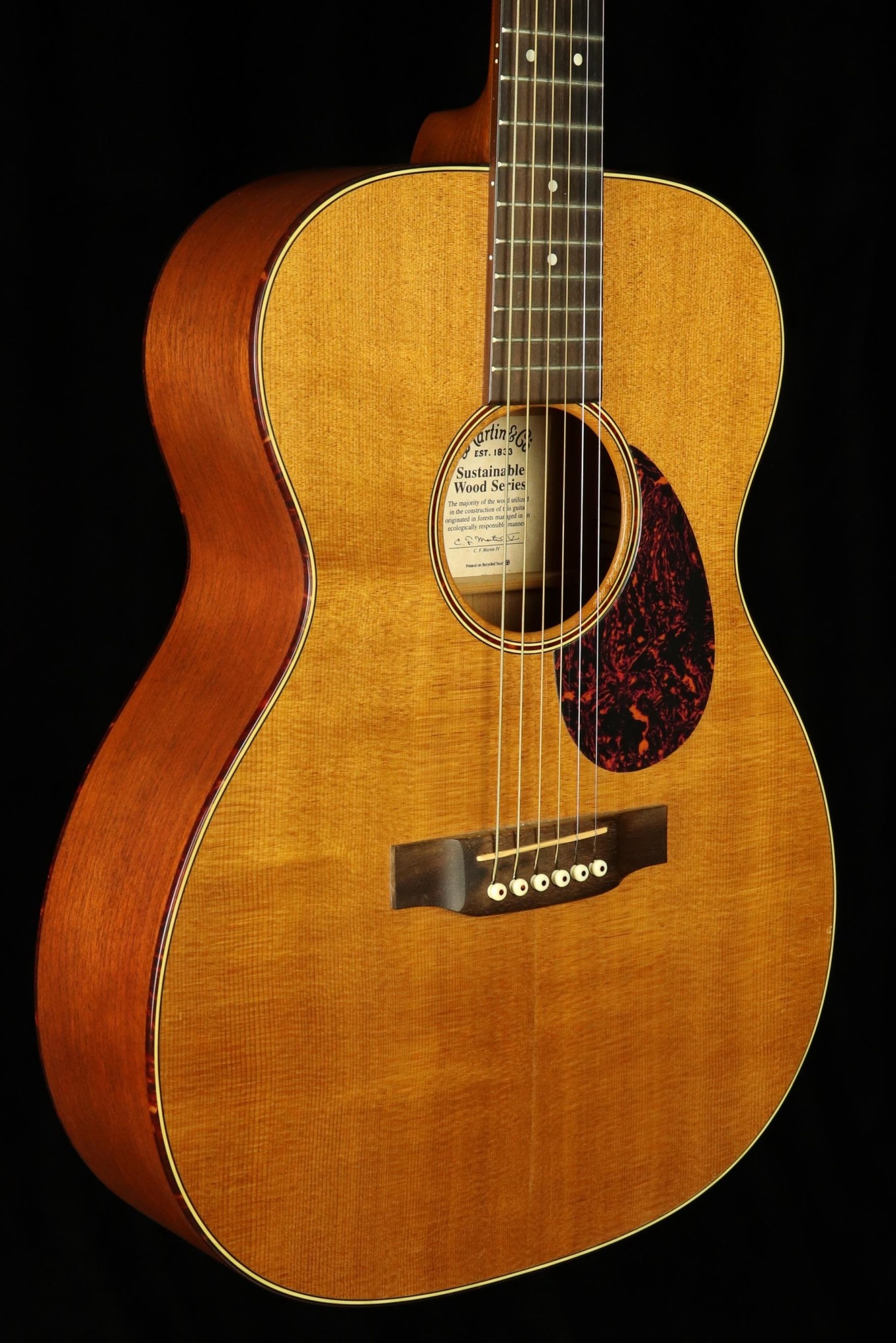 Martin Martin SW OM GT - Natural