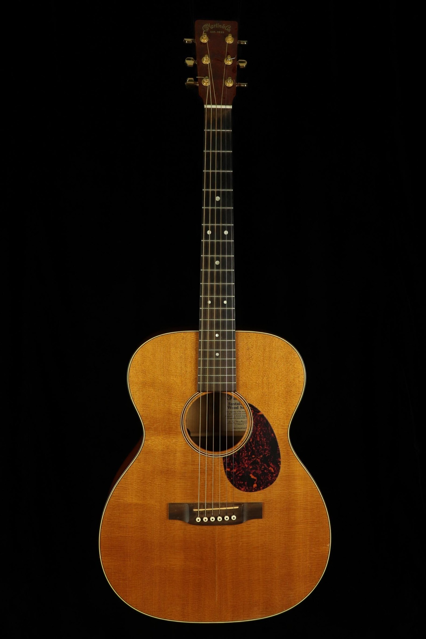 Martin Martin SW OM GT - Natural