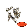 TruVintage TruVintage 1959 Spec ABR-1 Intonation Screw Set - Nickel