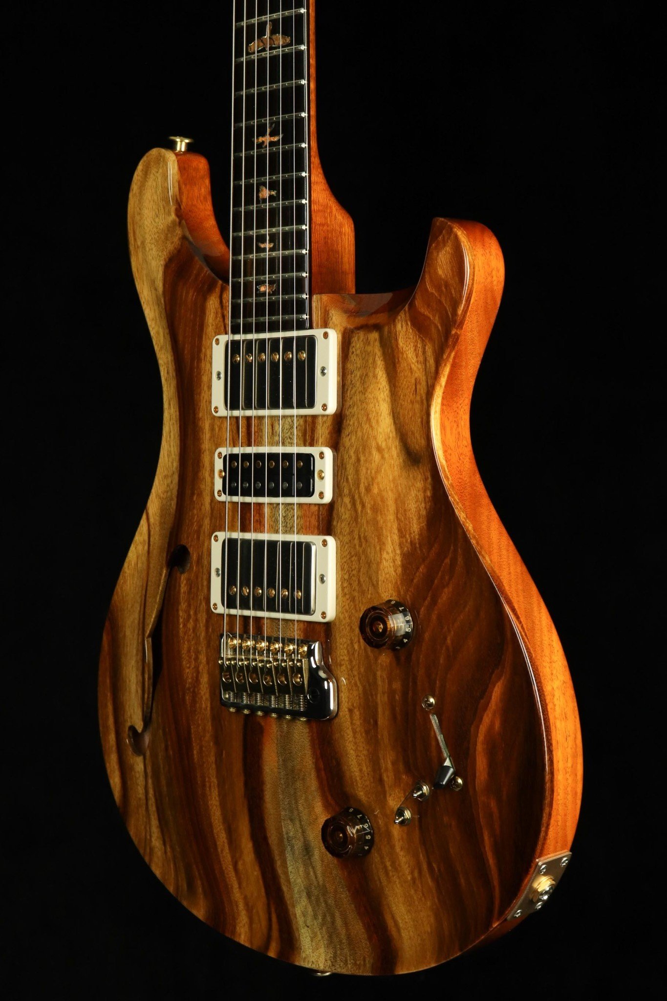 PRS Guitars PRS Private Stock Special Semi-Hollow Electric Guitar - Natural