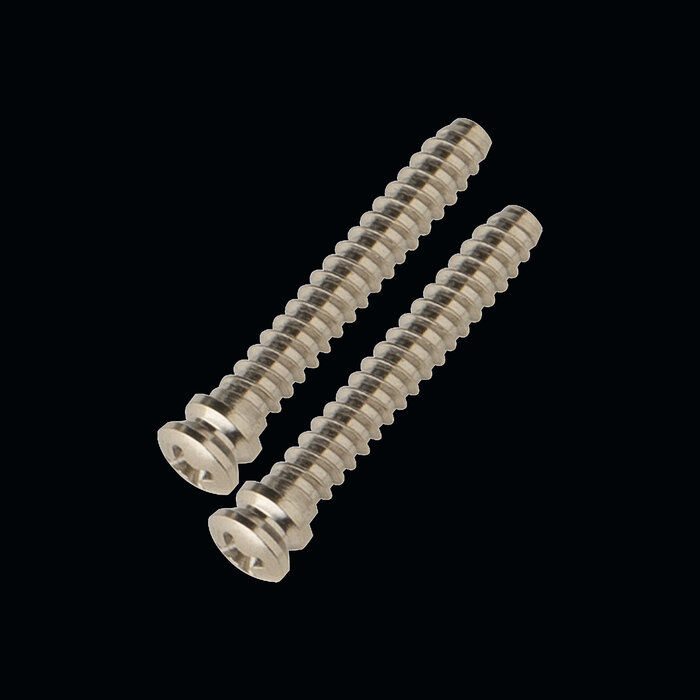 PRS Guitars PRS Knife Edge Screws, Fiore and SE Silver Sky