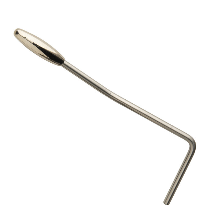 PRS Guitars PRS Fiore Trem Arm