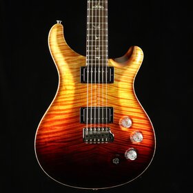 PRS Guitars PRS Private Stock DGT - Electric Tiger