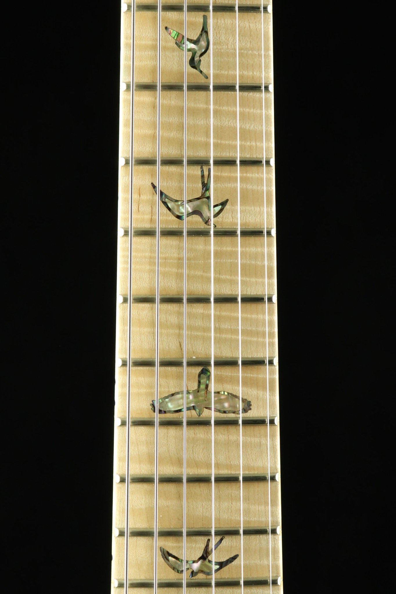 PRS Guitars 2024 Annual Children's Raffle - PRS Private Stock Modern Eagle V - Ocean Mist Glow