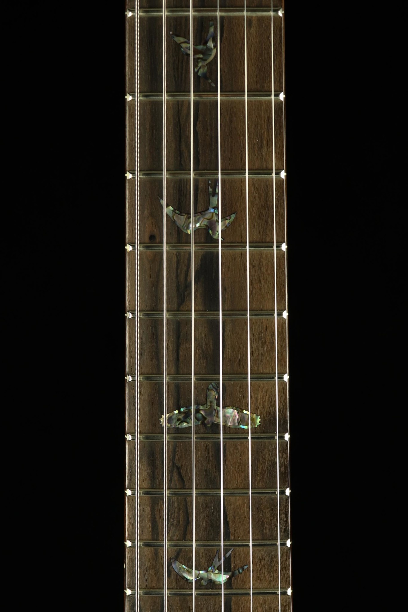 PRS Wood Library Custom 24-08 Electric Guitar - Copperhead PRS Wood Library Custom 24-08 Electric Guitar - Copperhead