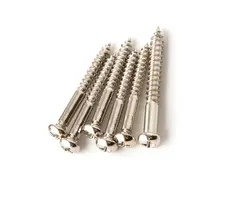 PRS Guitars PRS U.S. Silver Sky Fulcrum Screws