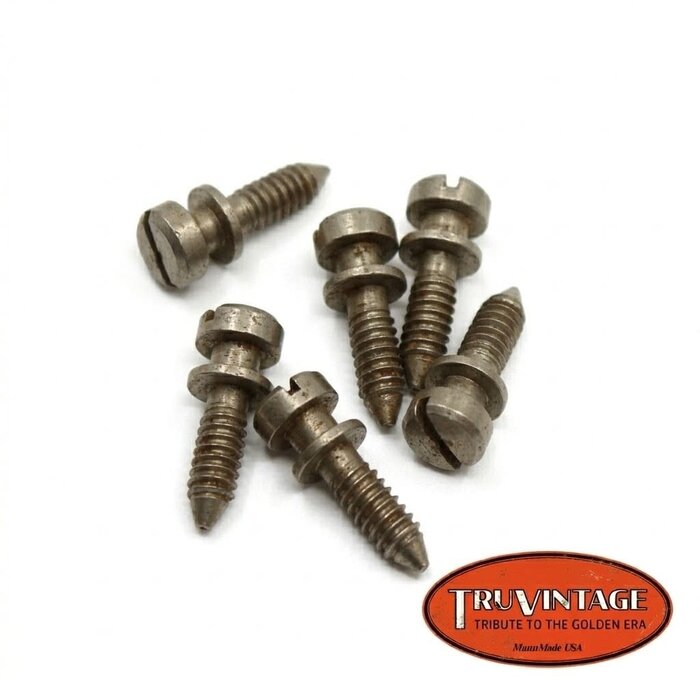 TruVintage TruVintage 1959 Spec ABR-1 Intonation Screw Set - Nickel Relic