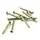 Pickup Ring Screw Set Short - Stainless Steel