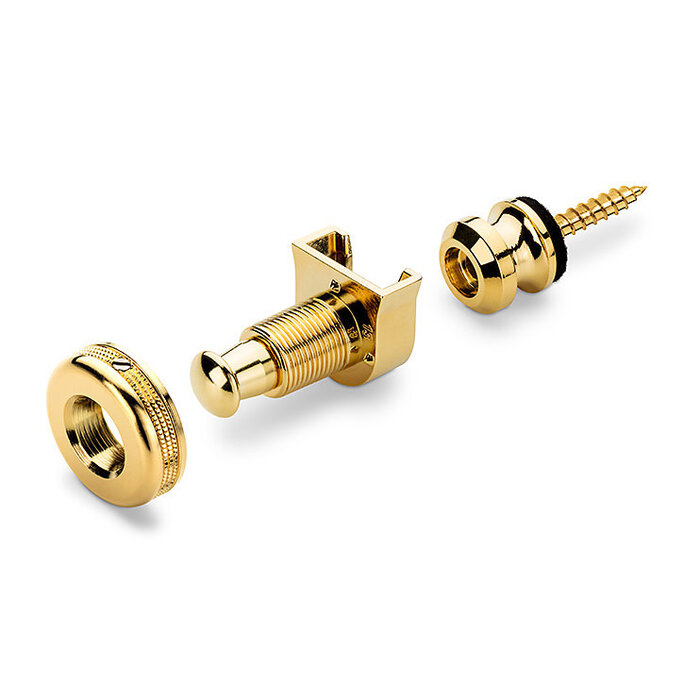 Schaller Schaller S-Locks Security Strap Locks - Small - Gold