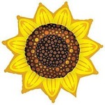42" Sunflower Shape