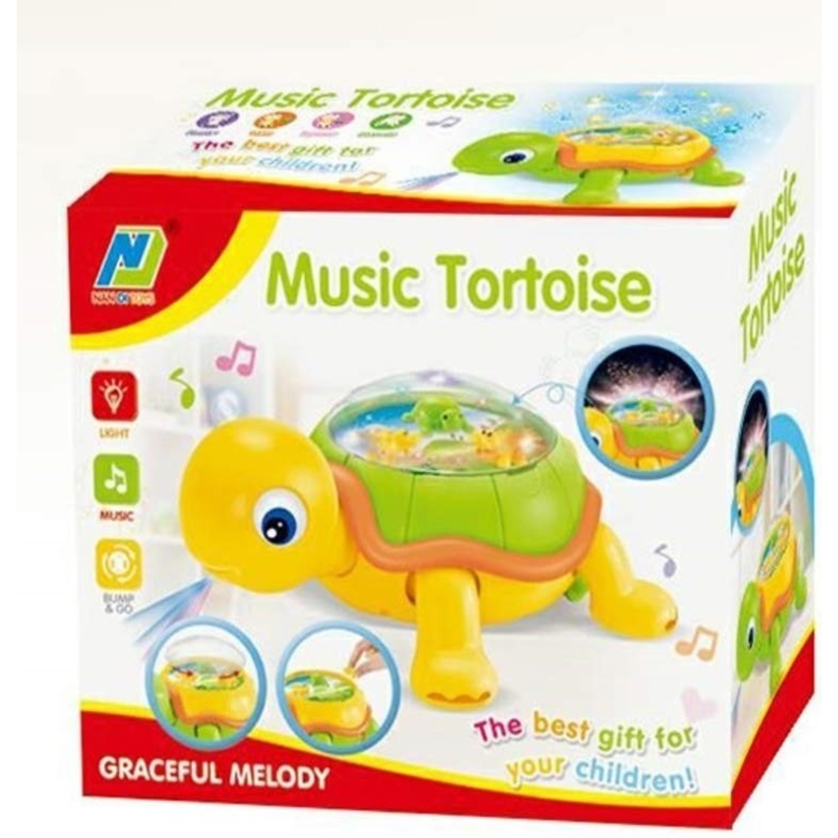 Music Tortoise