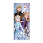 Frozen 2 Door Poster