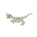 T-rex Skeleton