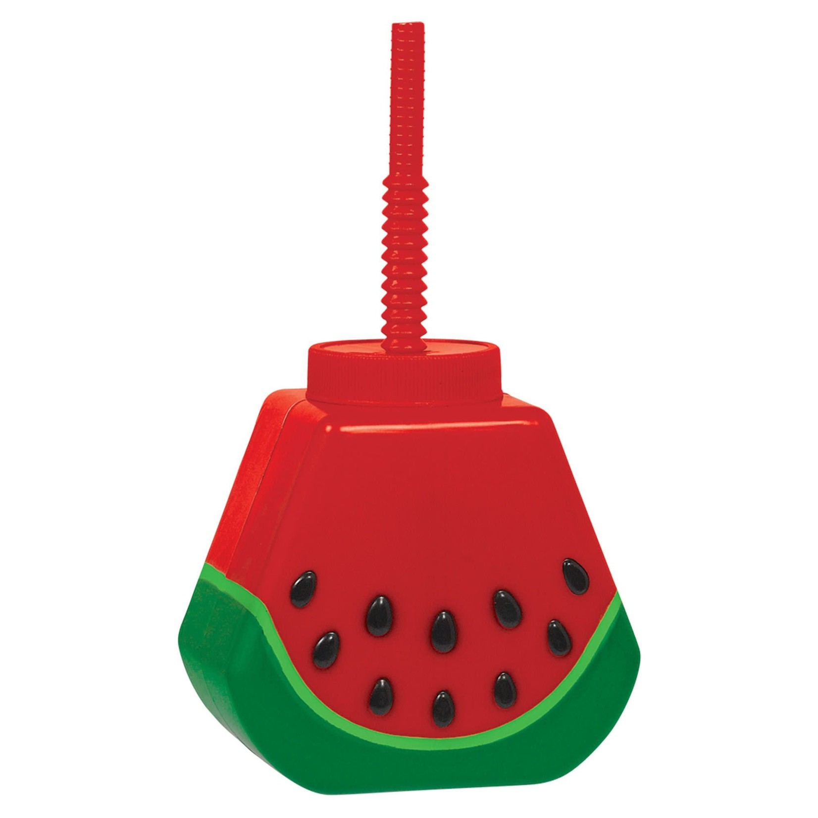 Watermelon Sippy Cup