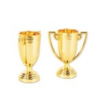 Trophy Cups