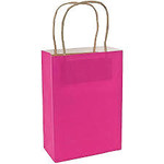 Gift Bags Kraft 8x10