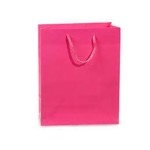 Gift Bag Pink