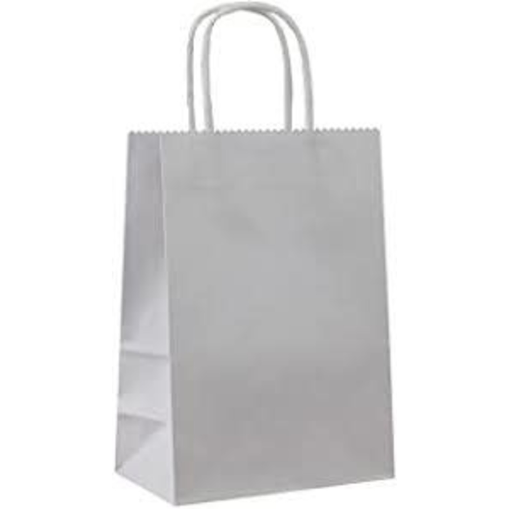 Grey  Gift Bags  8x10   12ct