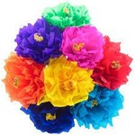 Large Crepe Paper Flowers 12ct