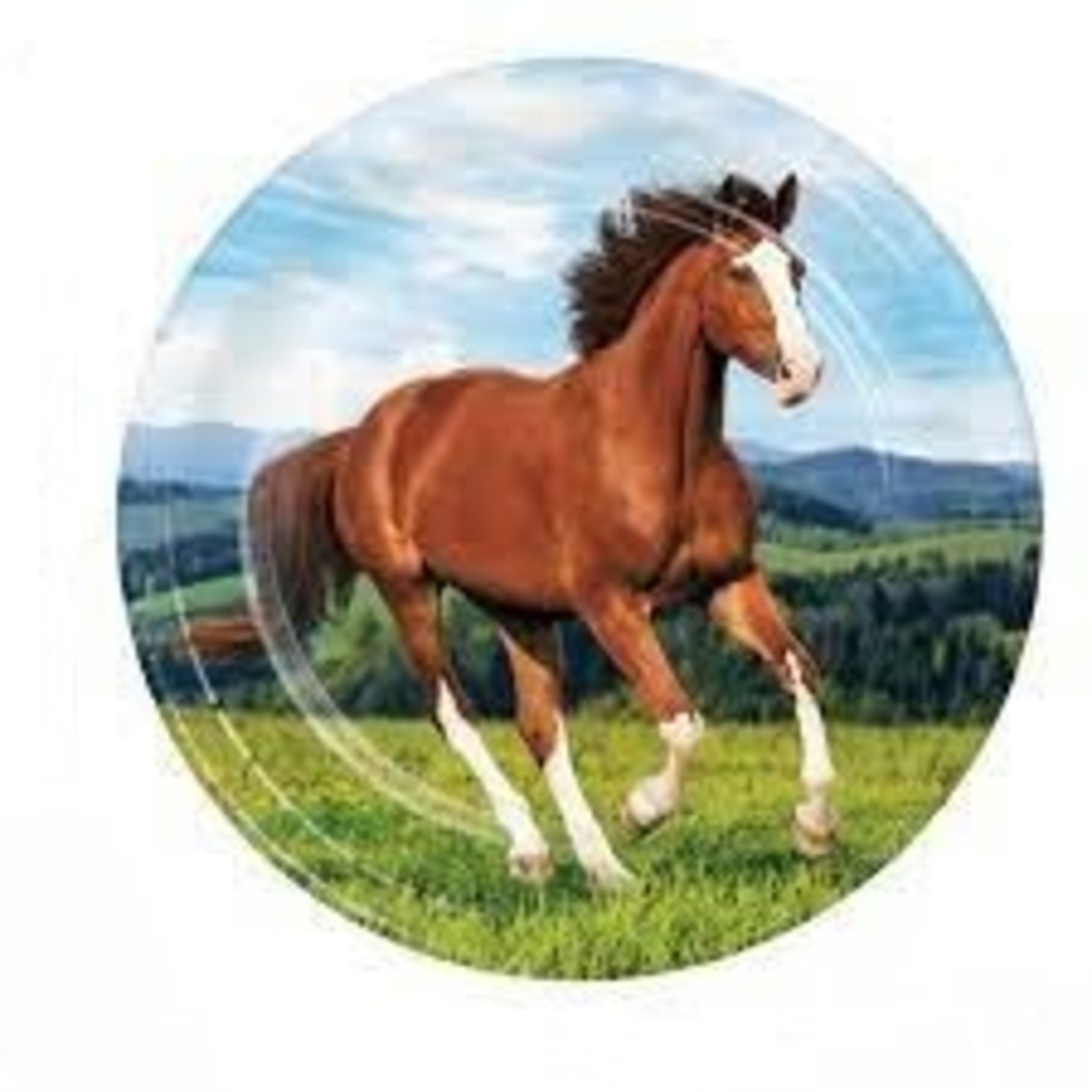 Horse and Pony Plates Dinner 8.75"