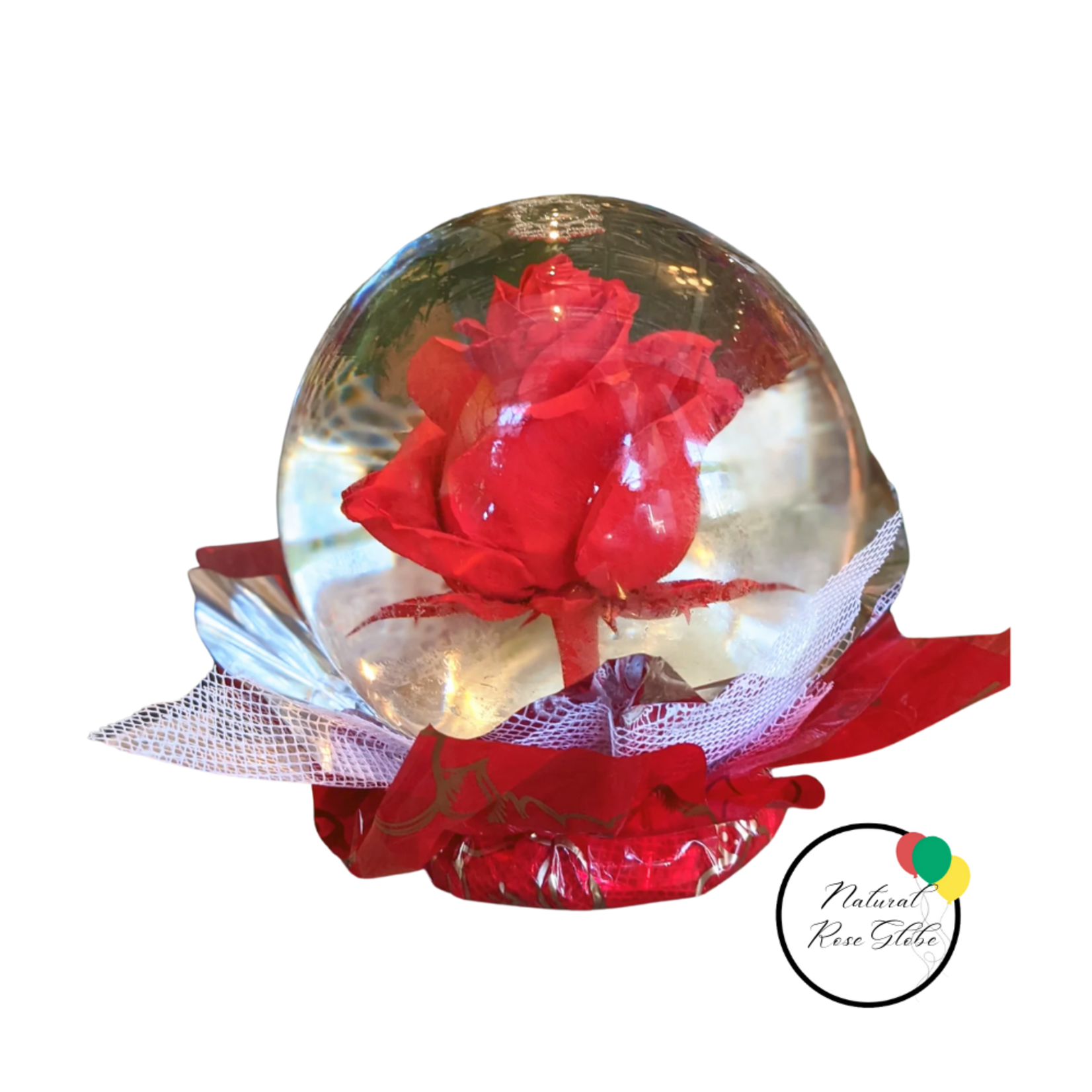 ESPECIAL! Natural Rose in Water Globe
