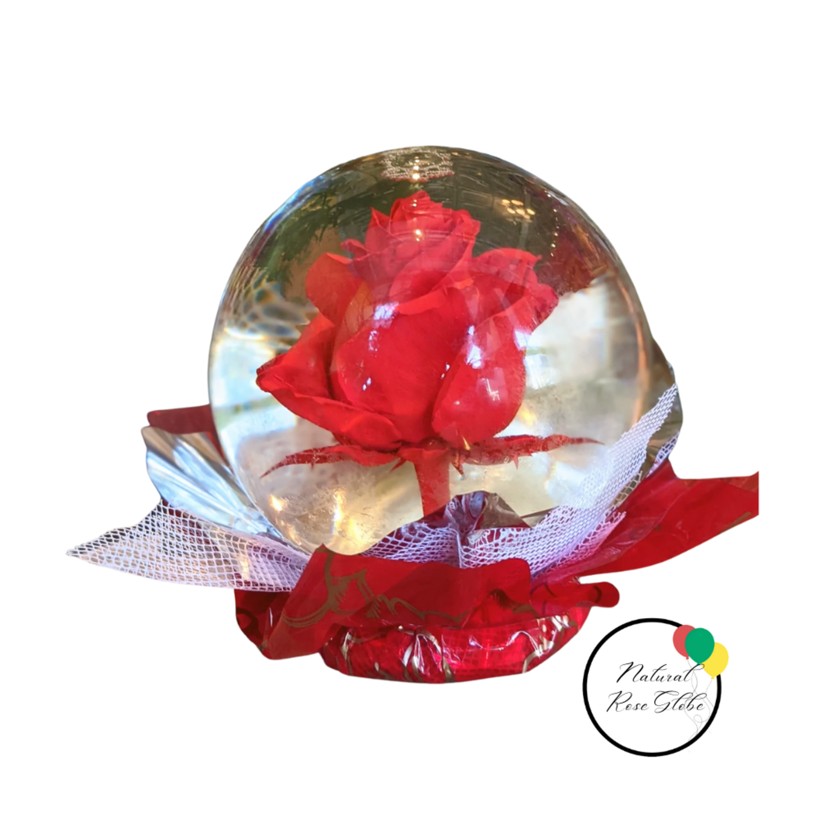 Natural Rose in Water Globe