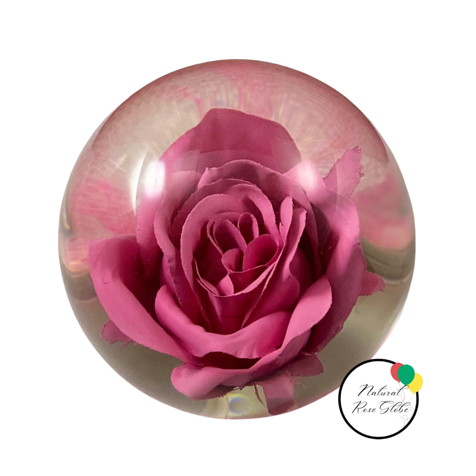 Natural Rose in Water Globe