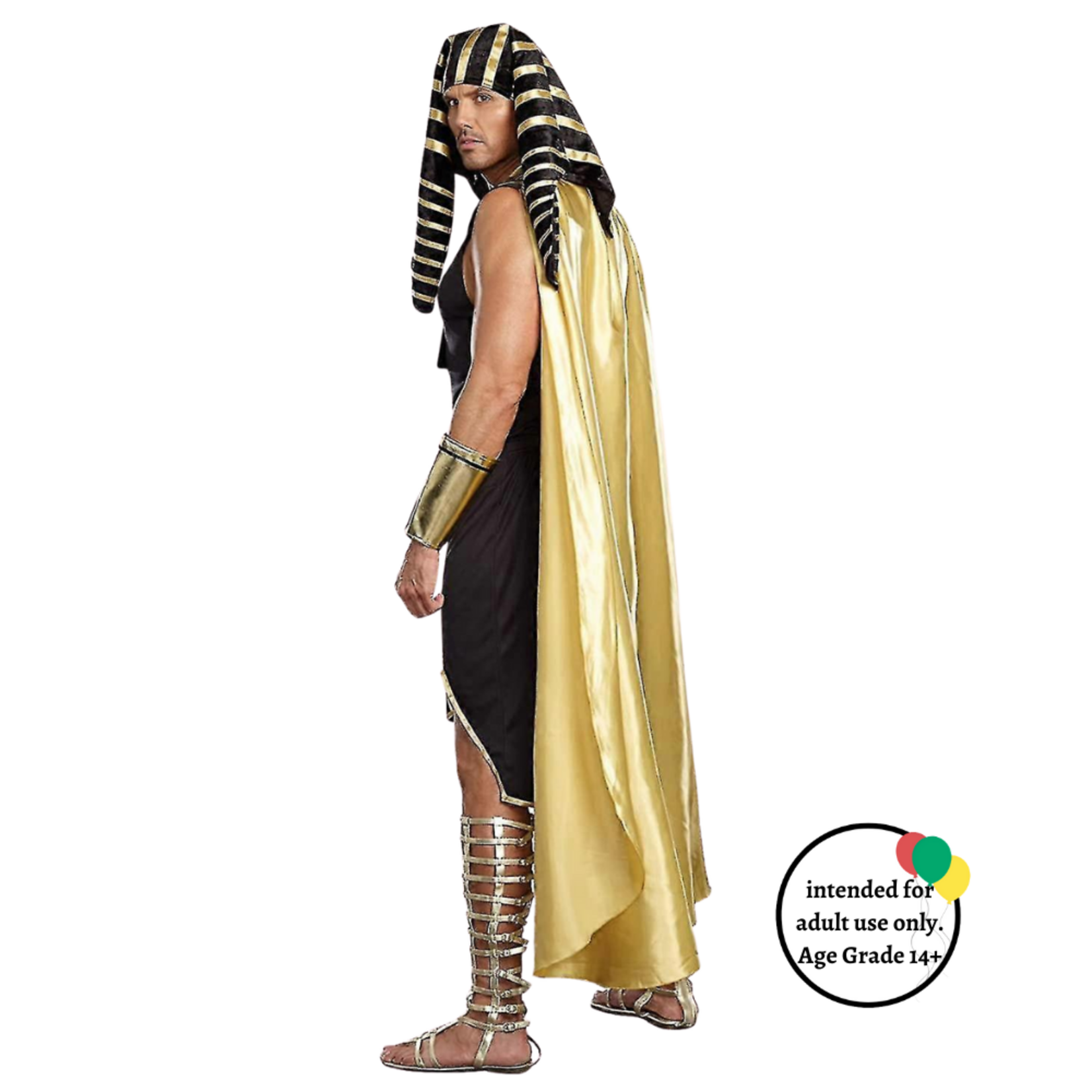 Dreamgirl King Of Egypt