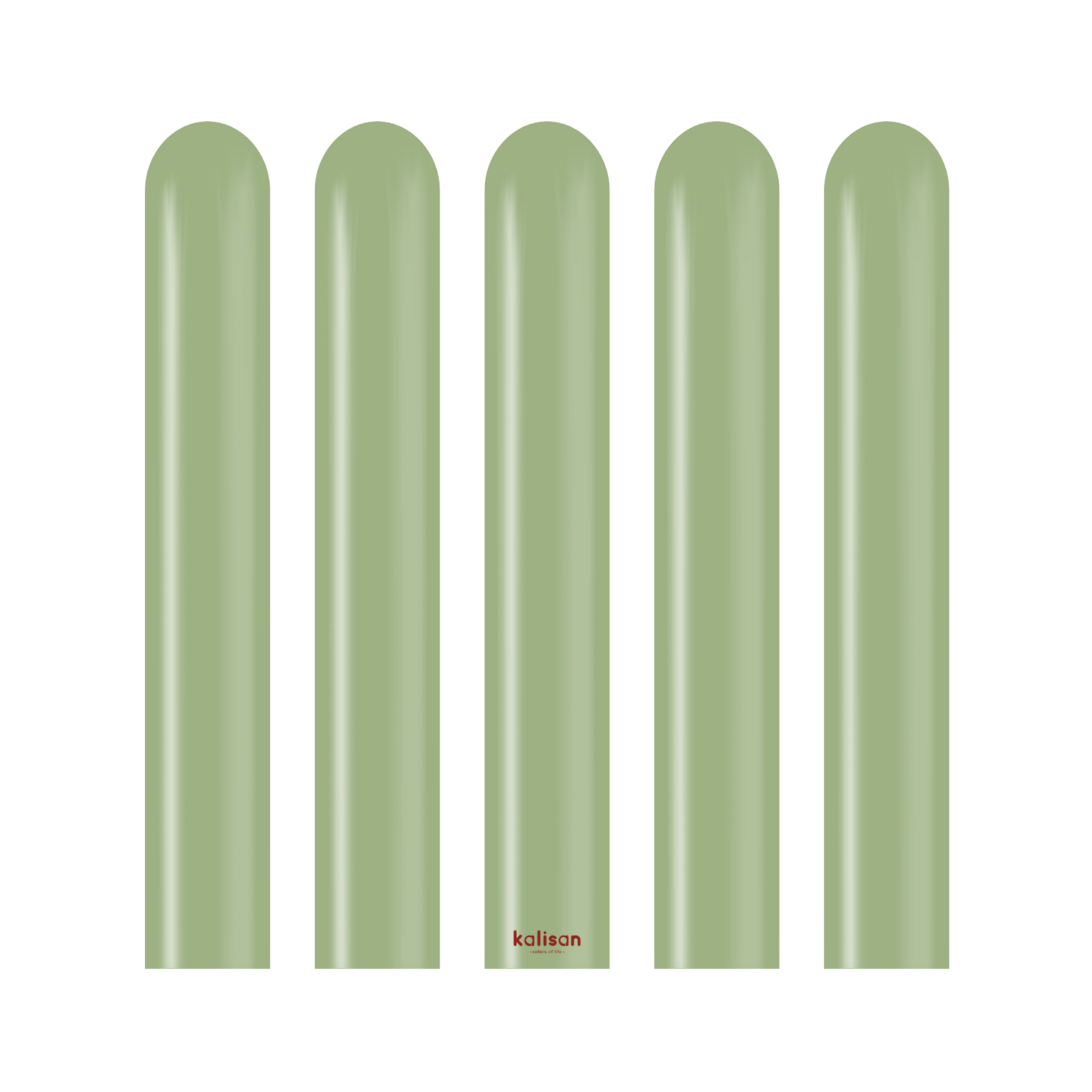 Kalisan Kalisan 260M Retro Eucalyptus - 50CT Nozzle Up