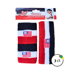 USA Sweatband & Wristband Set