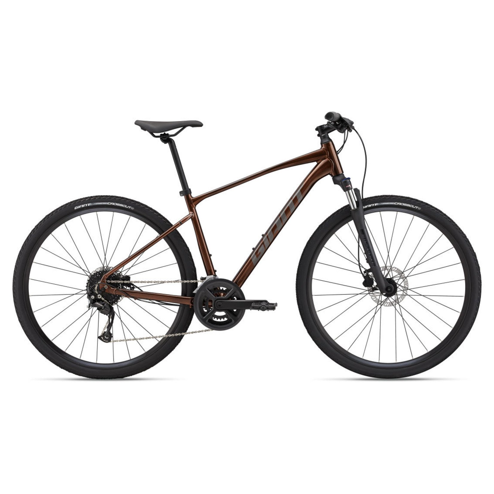 Giant Giant Roam 2 Disc