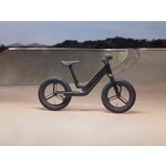 Giant Giant Pre rCarbon