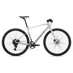 Giant Giant FastRoad AR 2