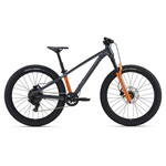 Giant Giant STP 24
