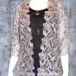 Yes A Dress Silver Woven Lace 3/4 Sleeve Jacket
