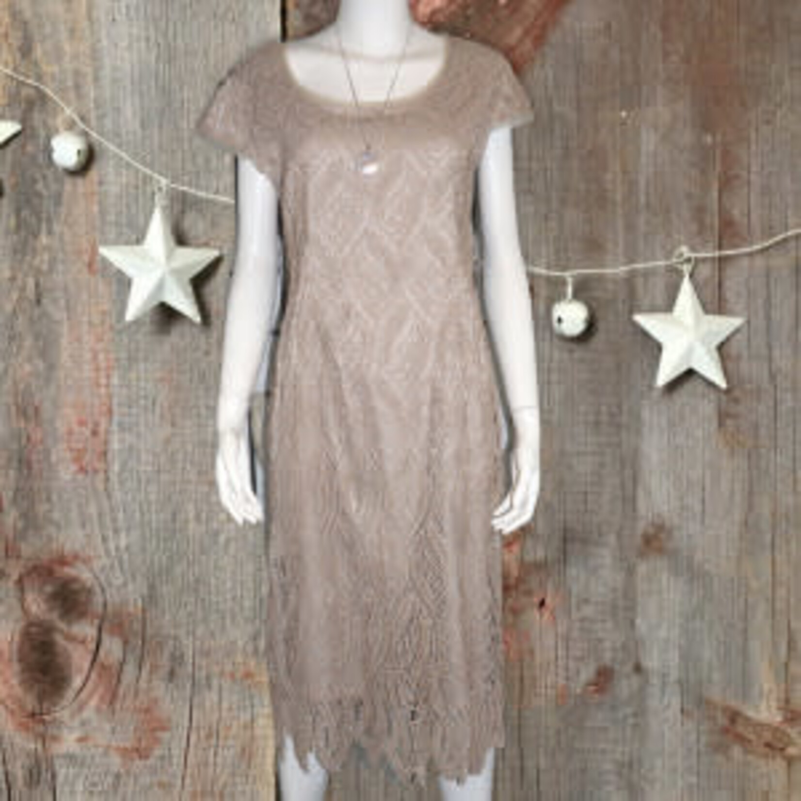 Crystal River Champagne Lace & Chiffon Short Sleeves Dress