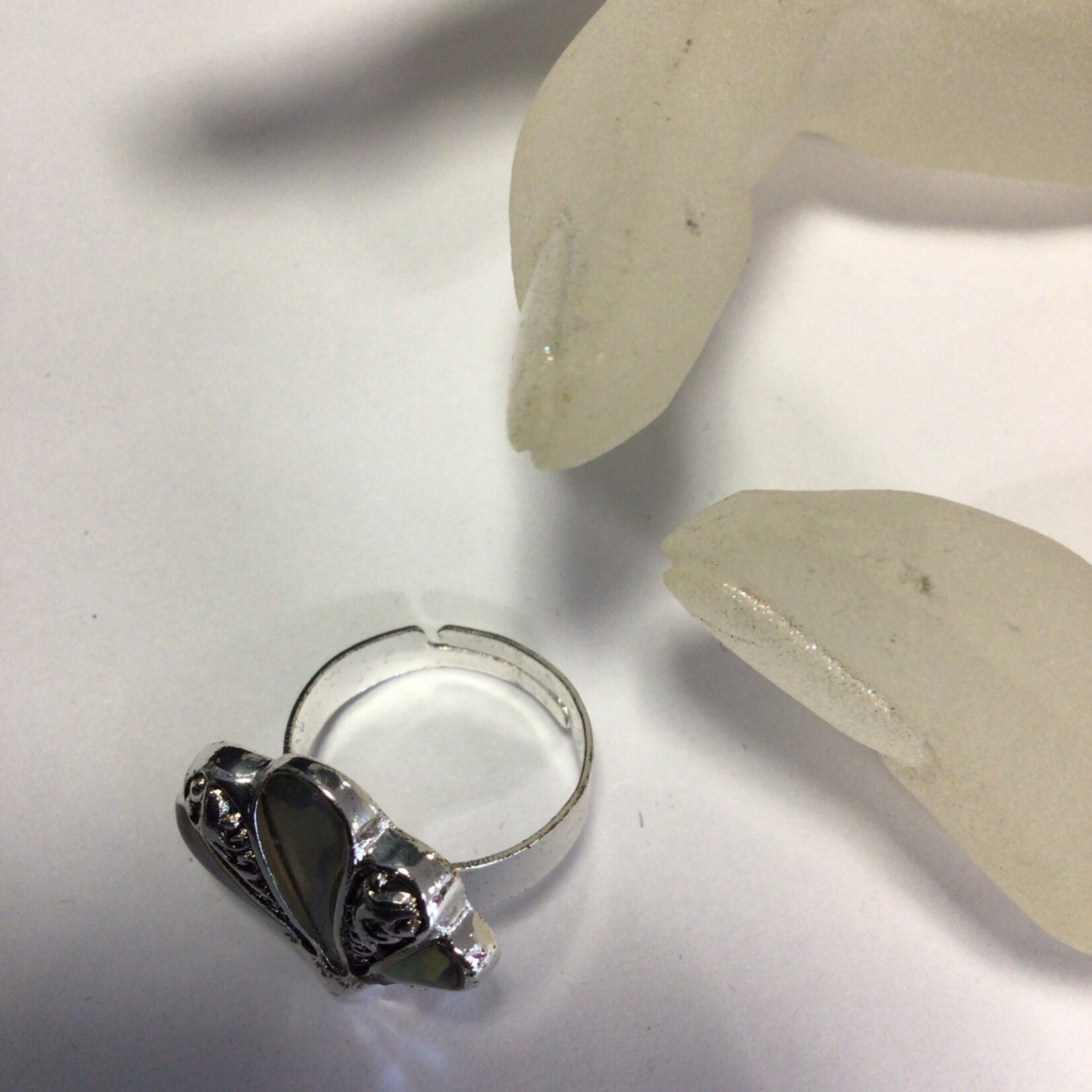 Trend Jewellery Sea Shell Silver Ring
