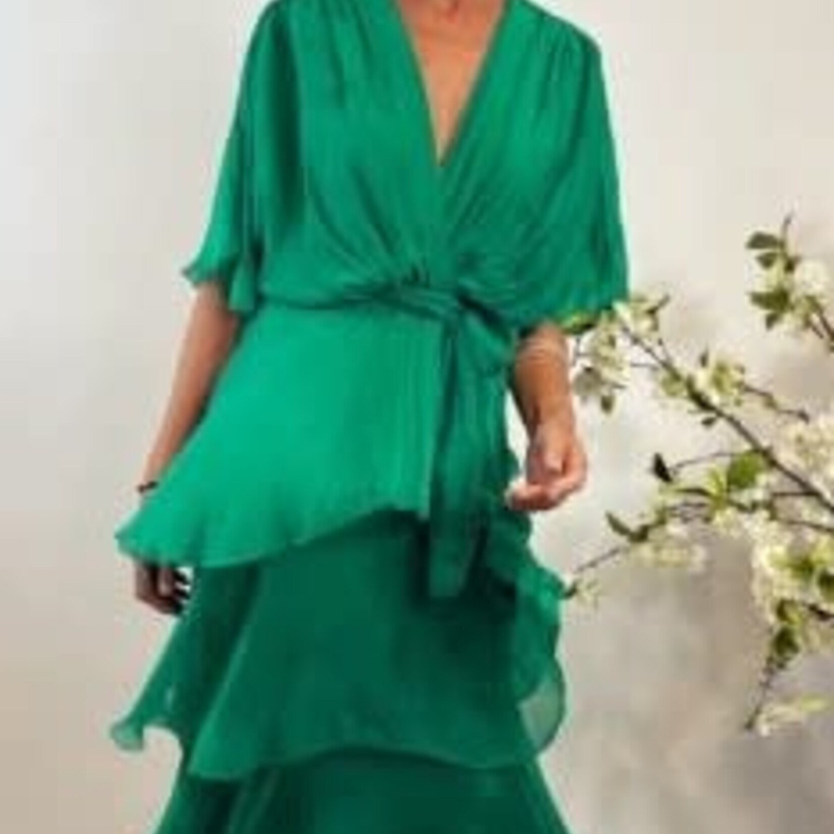La Strada Gucci Green Crossover 3/4 Slv Ruffled Silk Dress