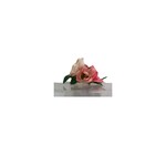 OPO Coral Silk Flower Hair Clip